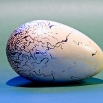huevo-alca-1