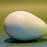 huevo-pinguino-emperador
